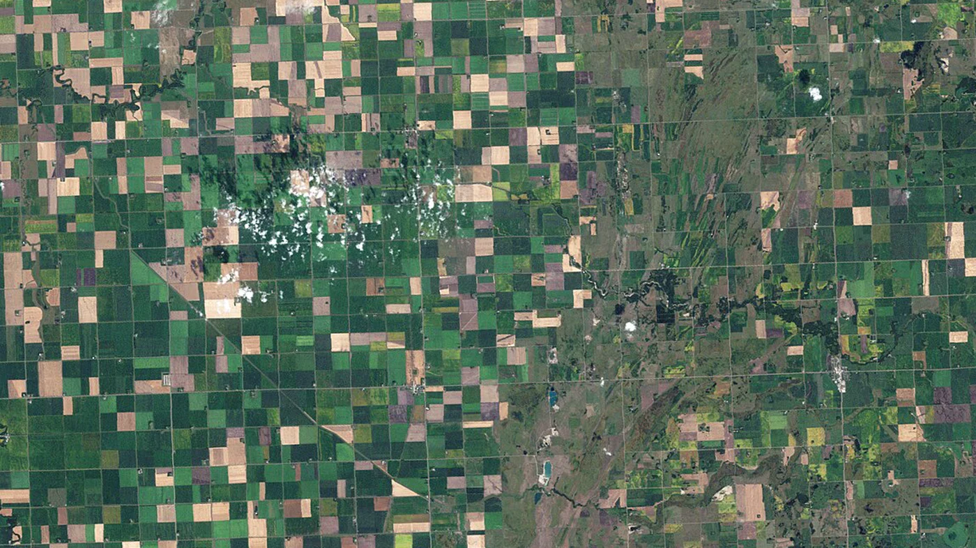 Imagem de satélite com produtividade estimada por talhão